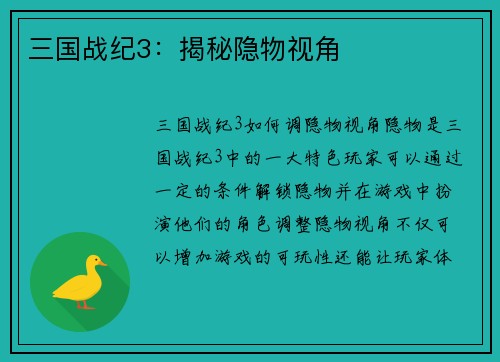 三国战纪3：揭秘隐物视角